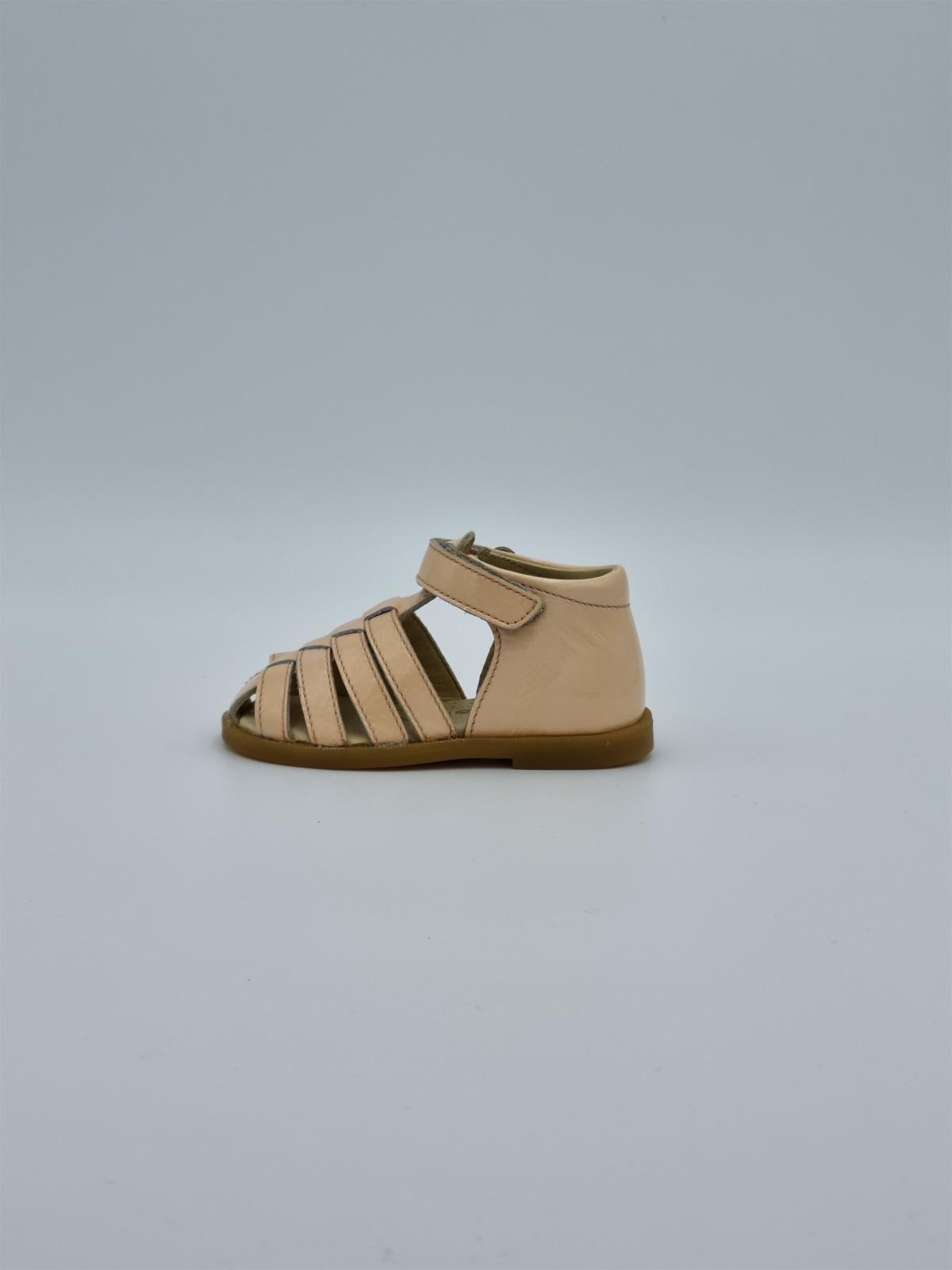 wakatobi naplack rose