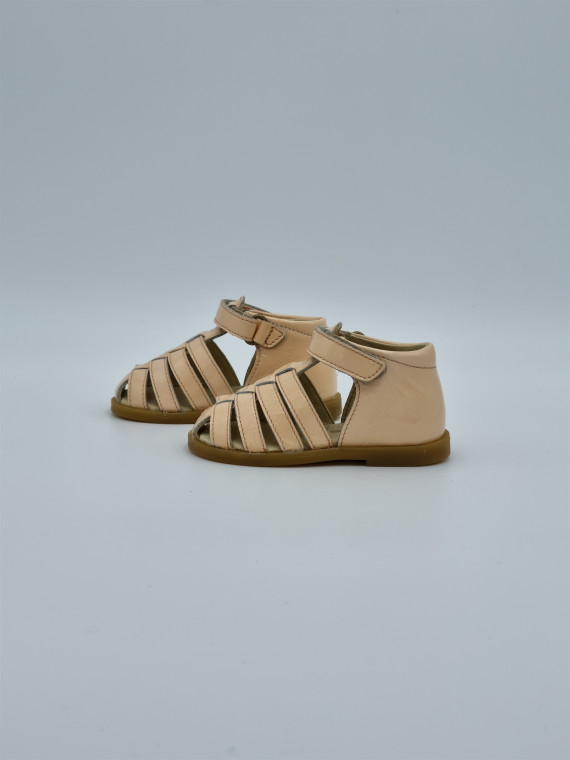 wakatobi naplack rose