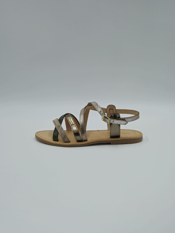 hapaxgum cuir kaki-multi