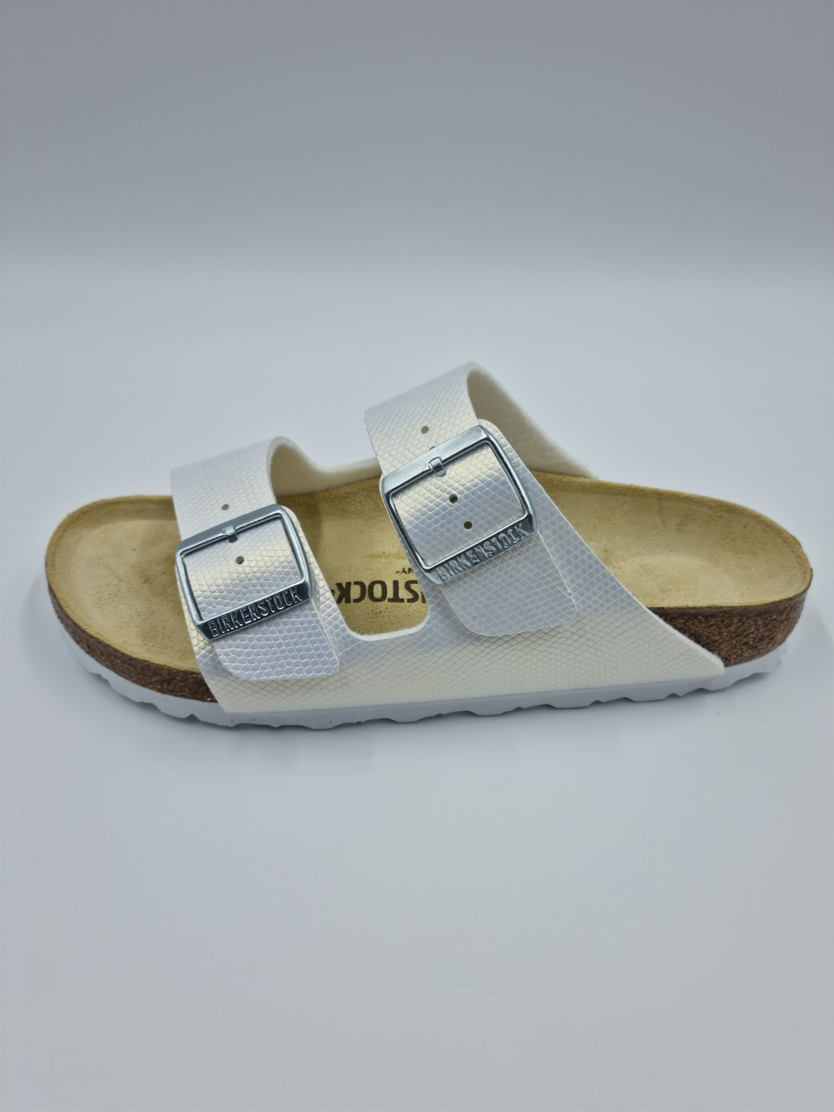 arizona bf shiny lizard blanc