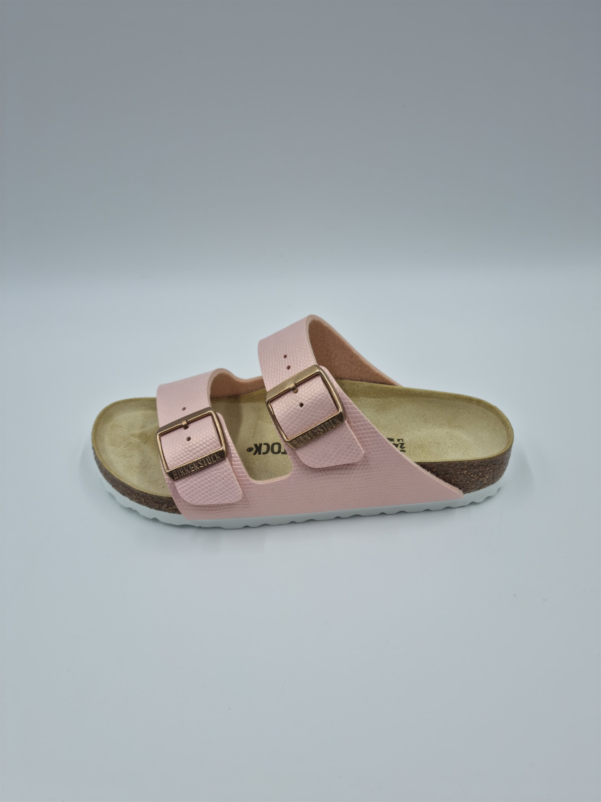 arizona bf shiny lizard rose