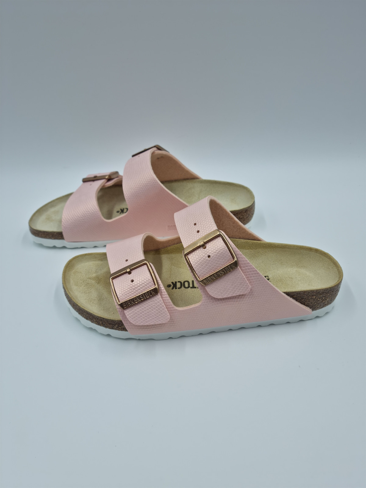 arizona bf shiny lizard rose