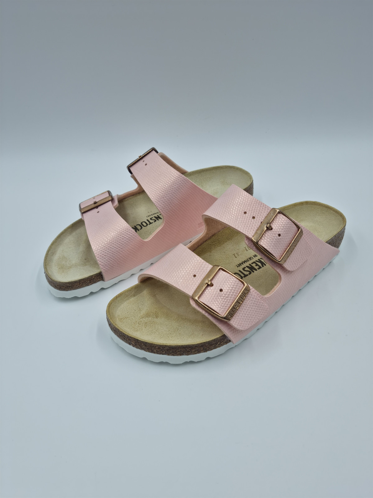 arizona bf shiny lizard rose