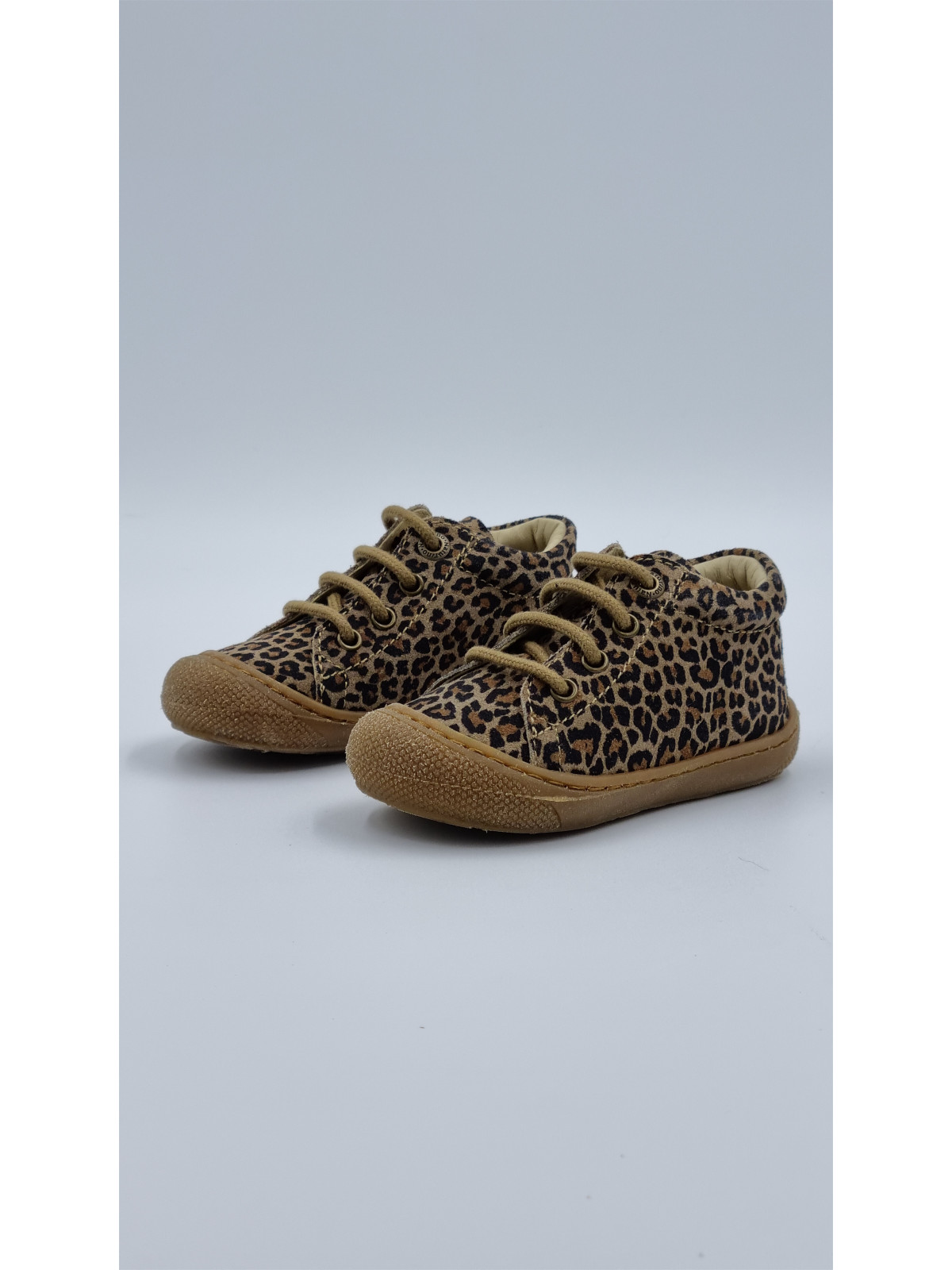 cocoon jaguar multicolore