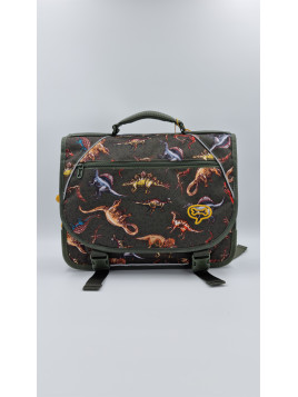 lily indéfini dinosaurs