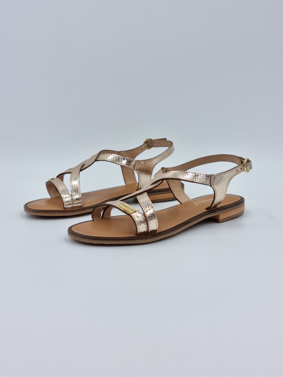 hastral cuir or