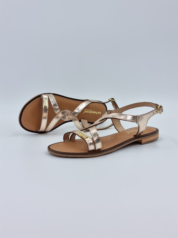 hastral cuir or