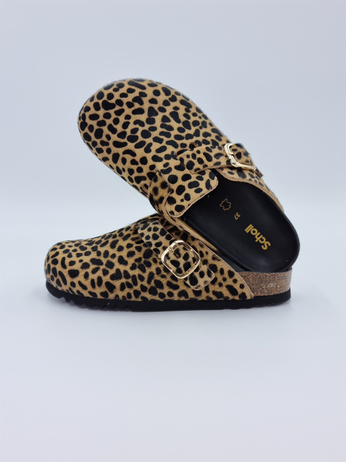 fae cuir pony multicolore