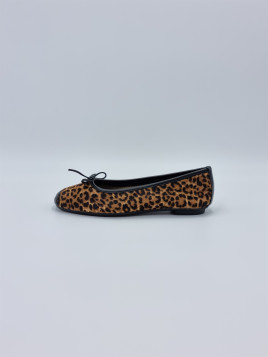 harmony. leopard chamois
