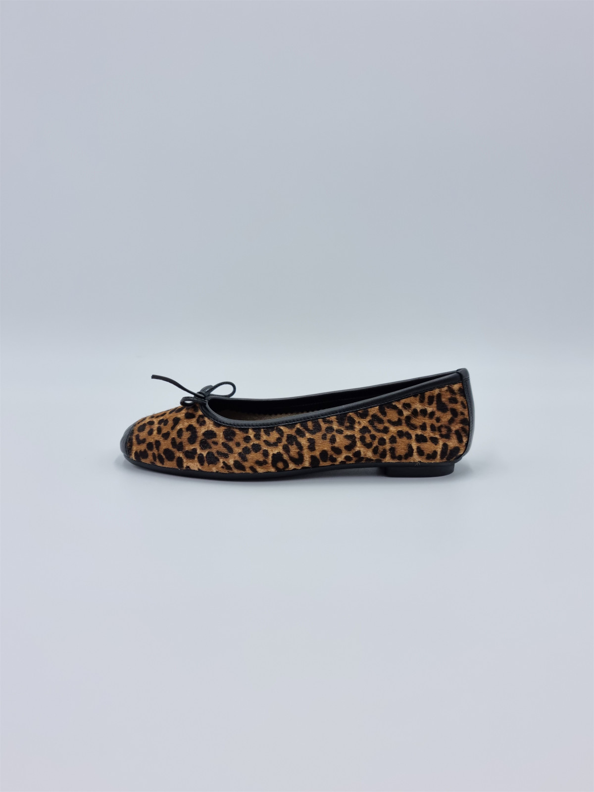 harmony. leopard chamois
