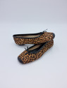 harmony. leopard chamois